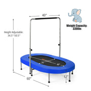 Costway - 2-Person Foldable Mini Kids Fitness Rebounder Trampoline-Blue