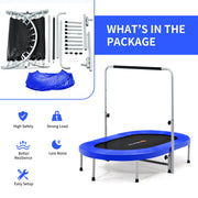 Costway - 2-Person Foldable Mini Kids Fitness Rebounder Trampoline-Blue