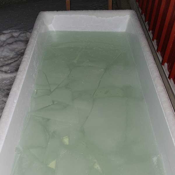 LeisureCraft The Polar Plunge Tub