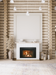 Sierra Flame Abbot 30 Gas Insert