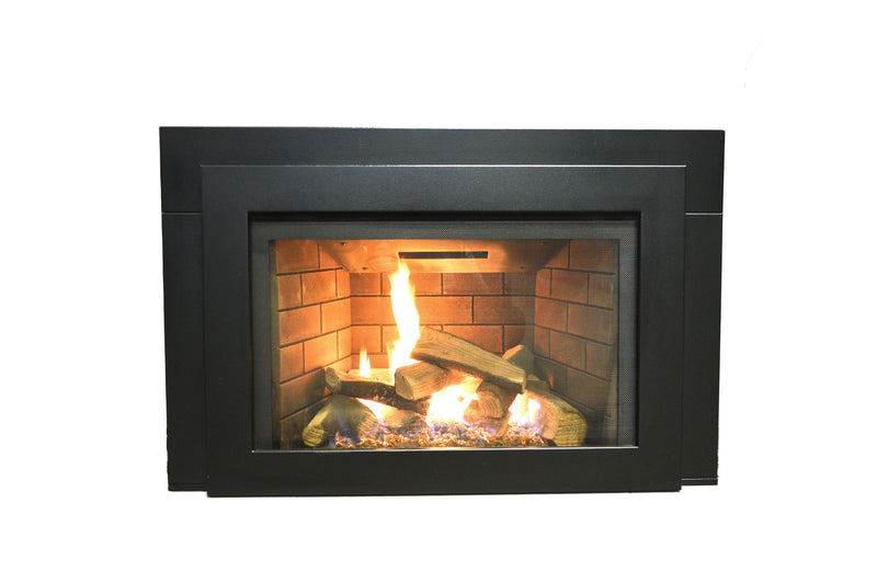 Sierra Flame Abbot 30 Gas Insert