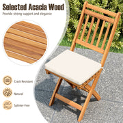 Costway - Patio Folding Chairs Set of 2 with Soft Seat Cushion-B